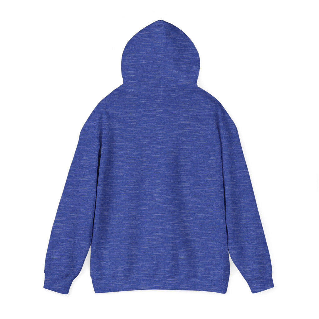The back of a blue hoodie