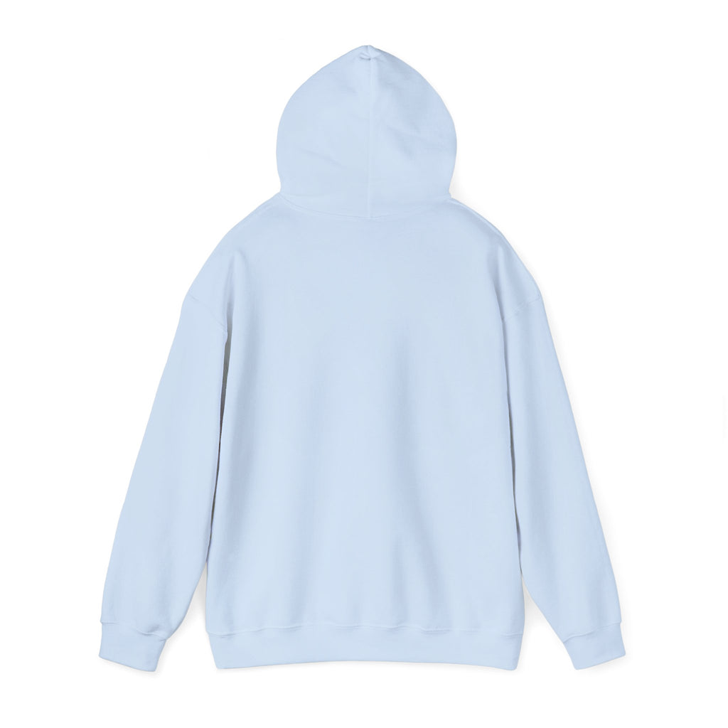 The back of a light blue hoodie on a white background