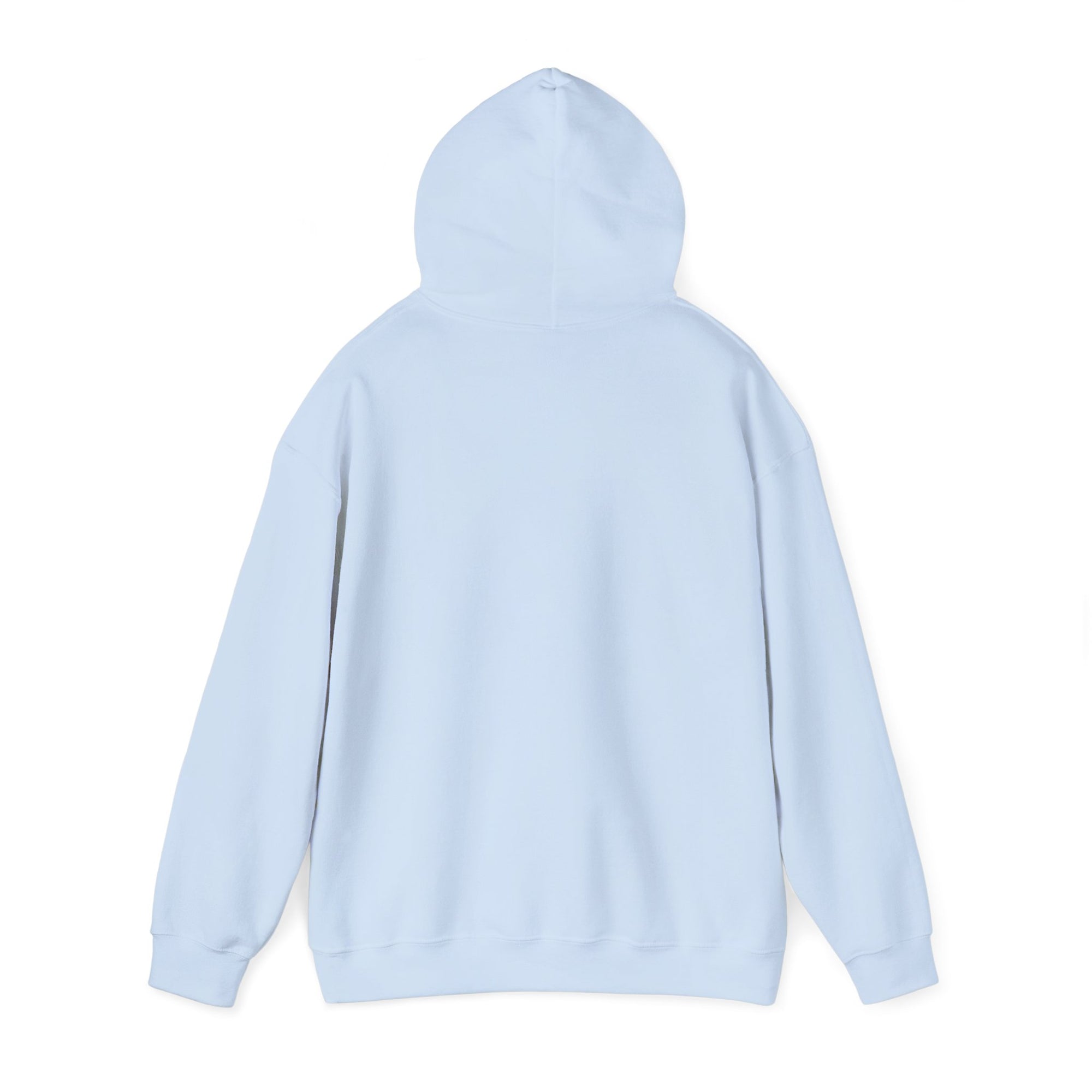 The back of a light blue hoodie on a white background