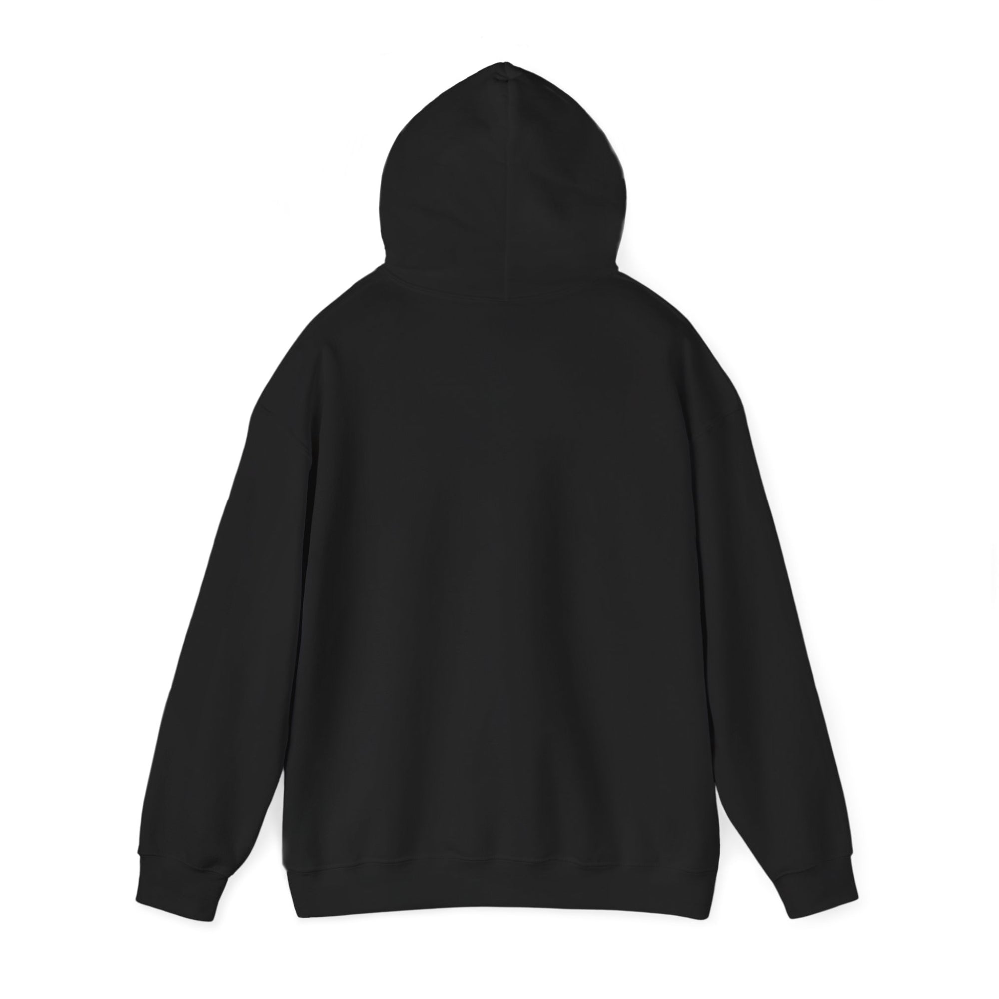 The back of a black hoodie on a white background