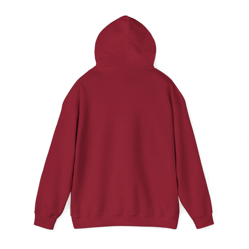 Back of a maroon hoodie on a white background